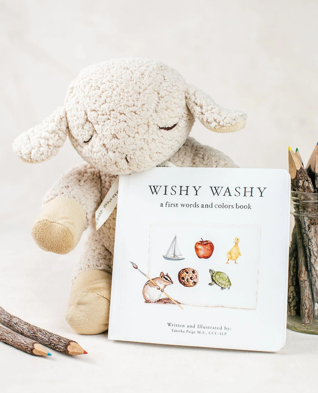 Wishy Washy: A Board Book of First Words and Colors