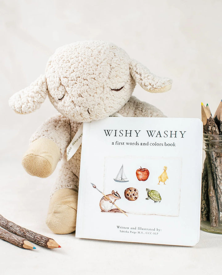Wishy Washy: A Board Book of First Words and Colors