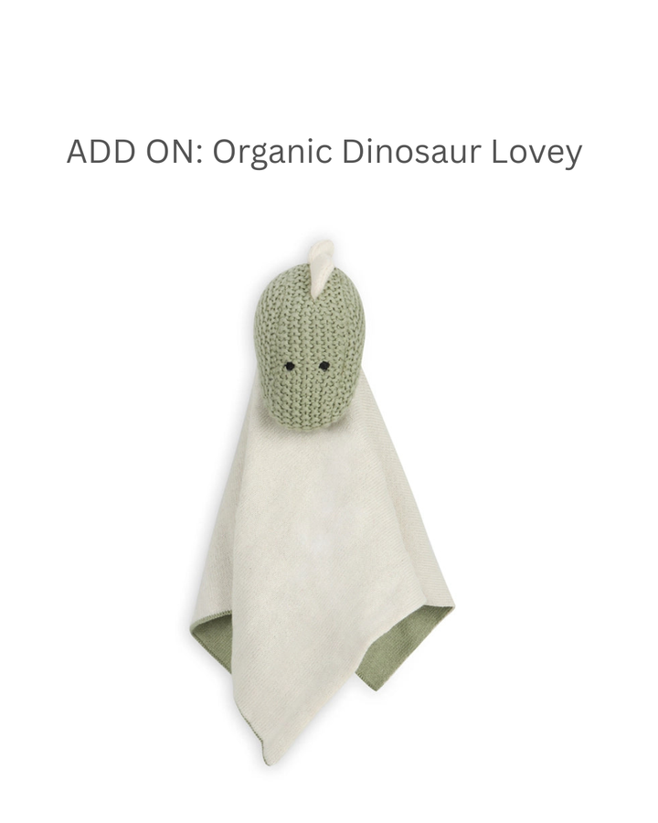 Friendly Dinosaurs | Organic Baby Gift Basket 7pcs | Baby Boy