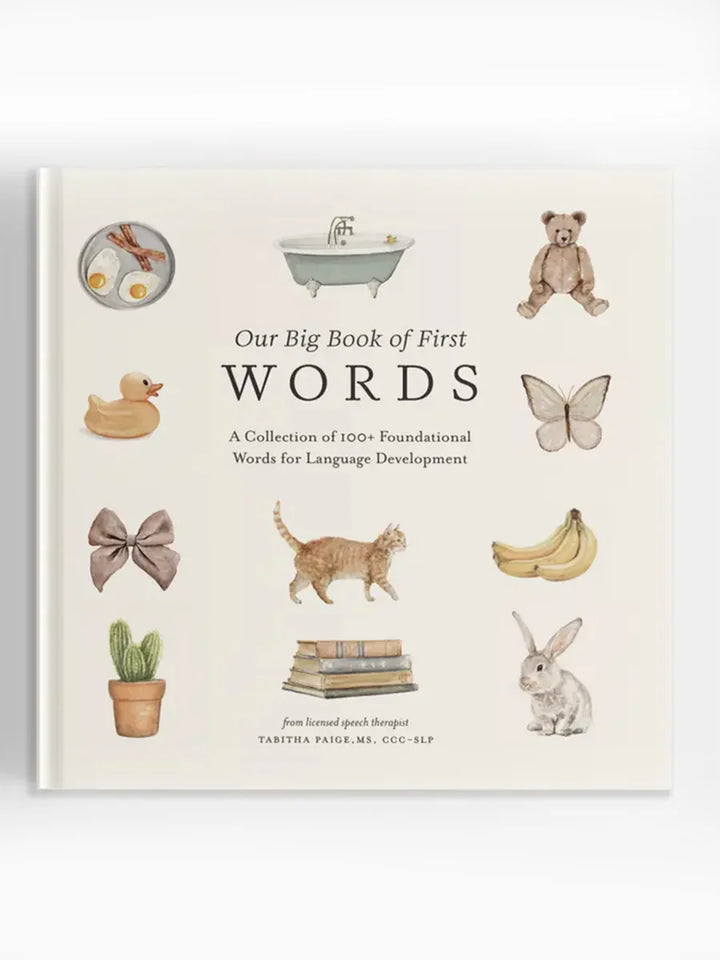 Our Big Book of First Words (Board Book)