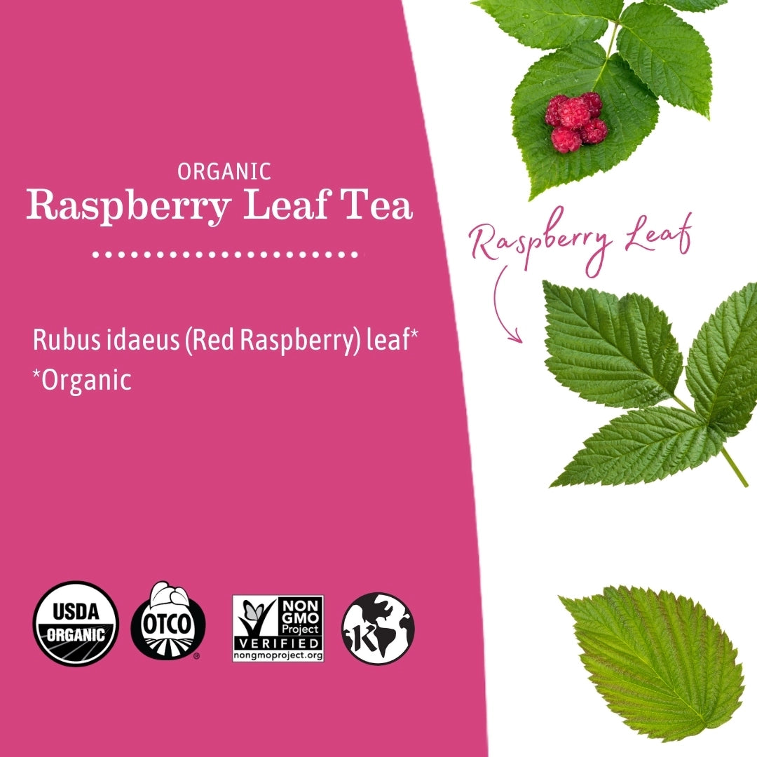 Organic Raspberry Leaf Tea | Made in the USA