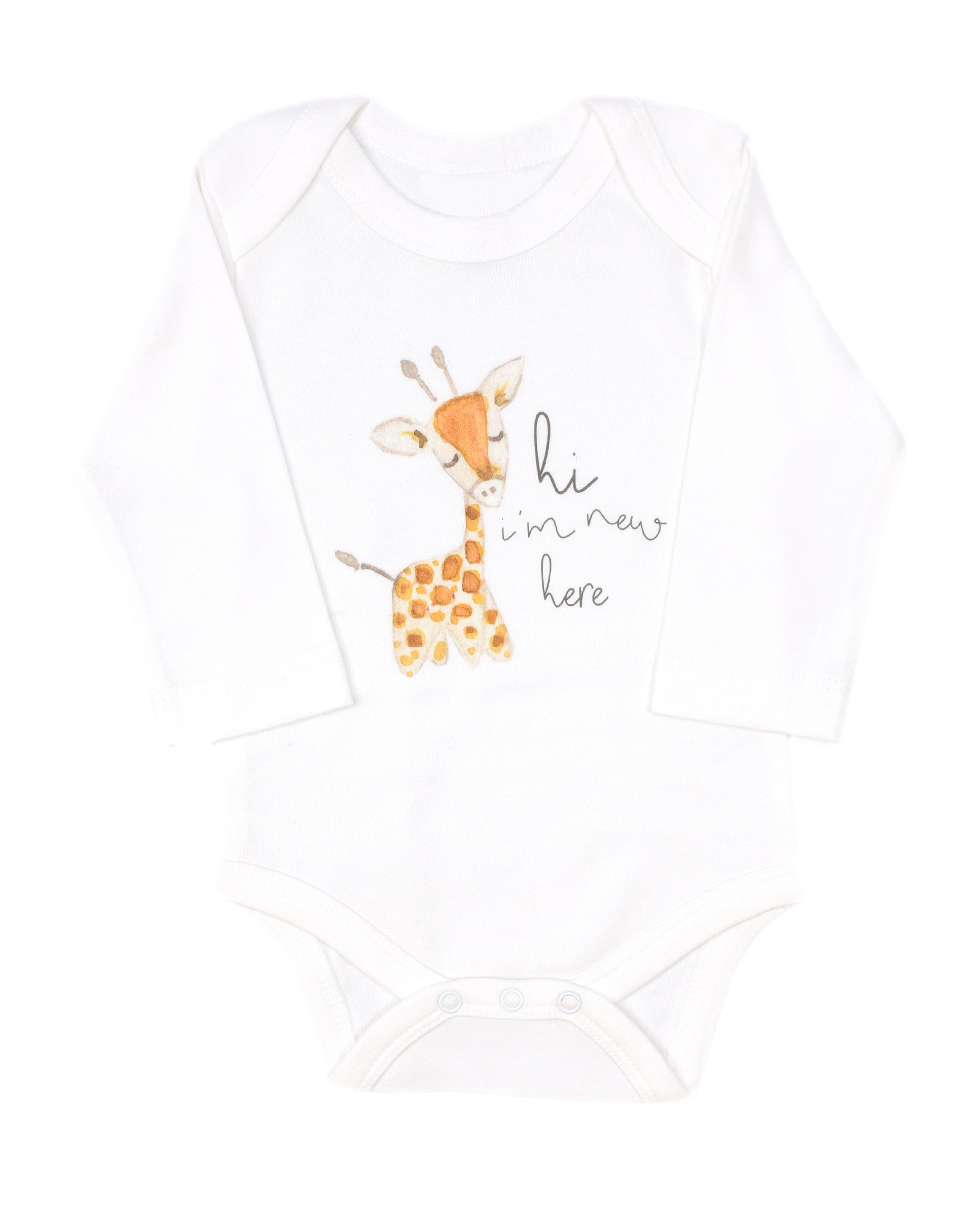 2024 Baby Girl Giraffe Gift Basket